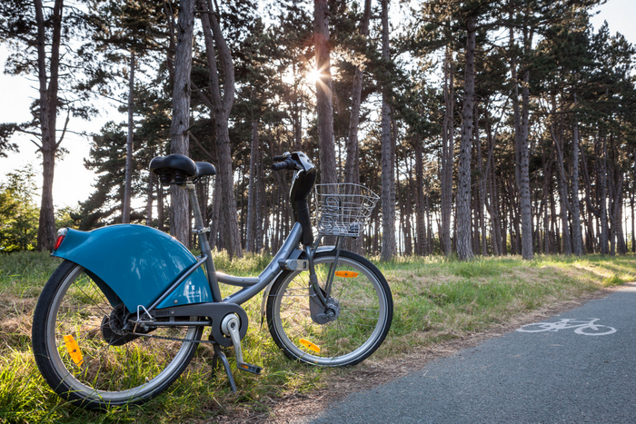 Dublin Phoenix Park Dublin Bike Ekla